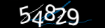 Enter the character string shown in the picture