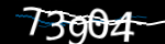 Enter the character string shown in the picture